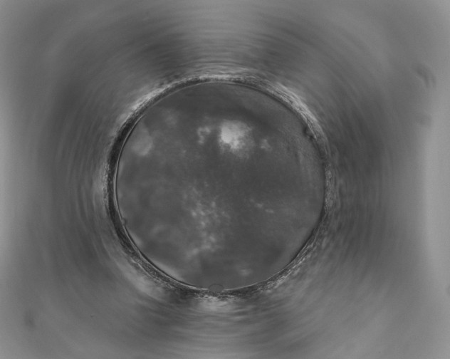 X0000111800346200908061203