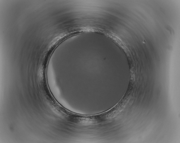 X0000111800347200908061203