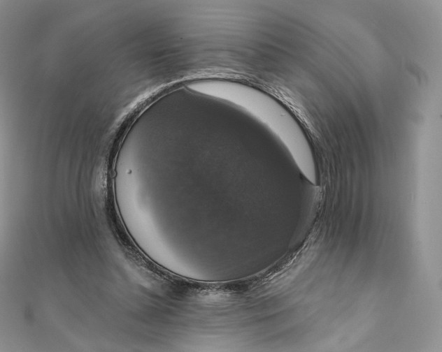 X0000111800348200908061203