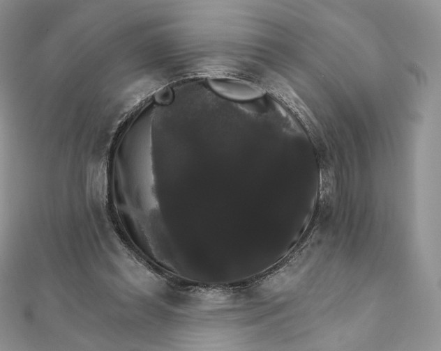 X0000111800349200908061203