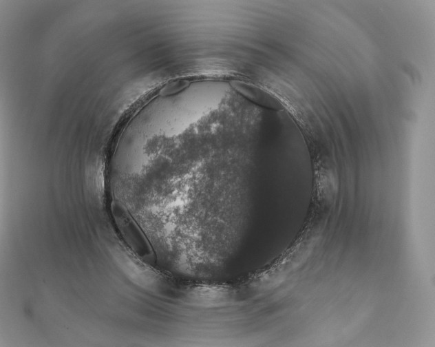X0000111800350200908061203