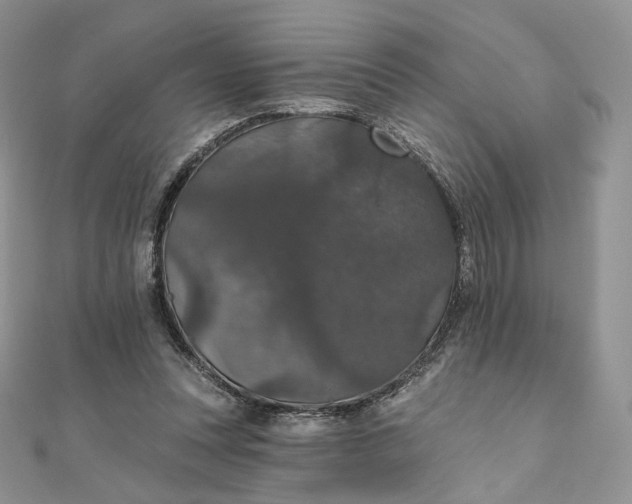 X0000111800351200908061203