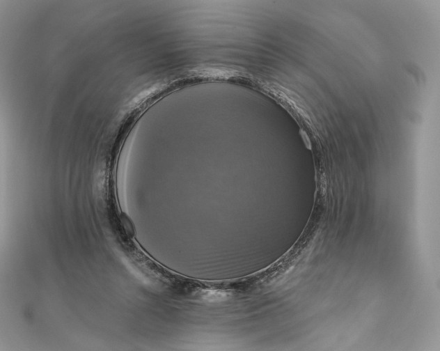 X0000111800352200908061203