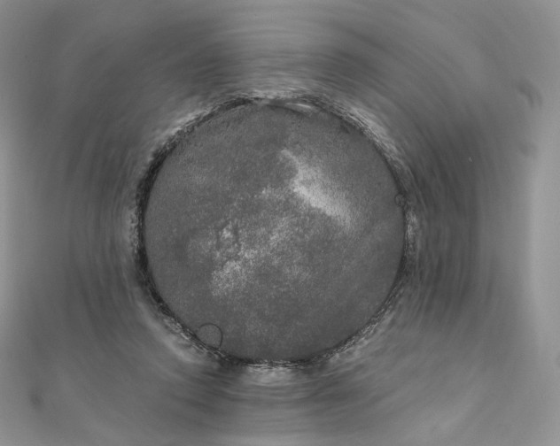 X0000111800354200908061203