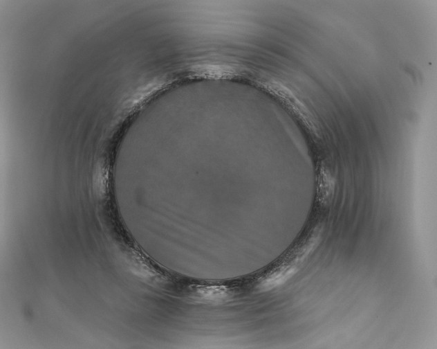 X0000111800355200908061203