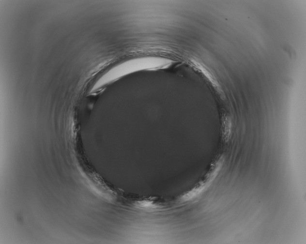 X0000111800356200908061203