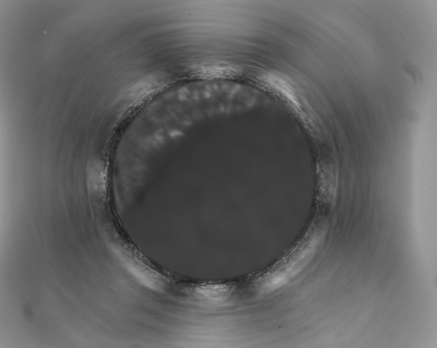X0000111800357200908061203
