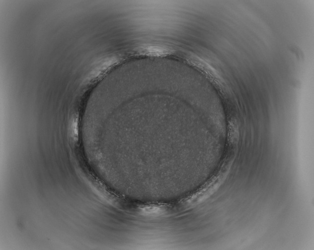 X0000111800358200908061203