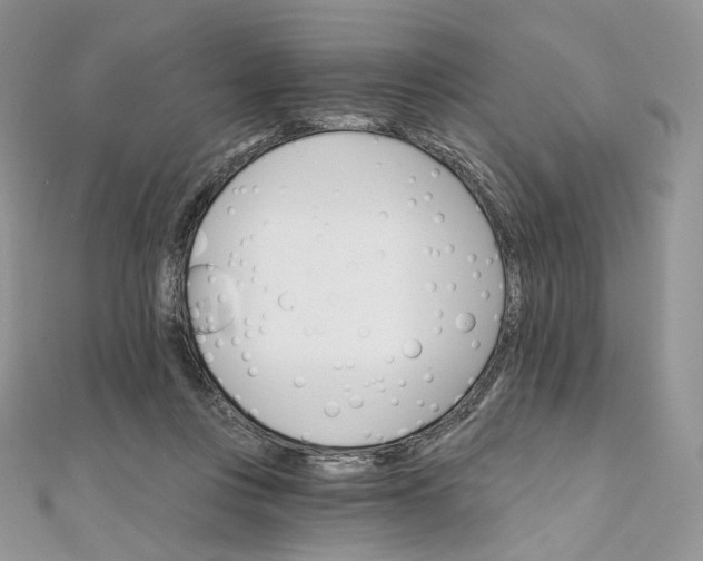 X0000111800359200908061203