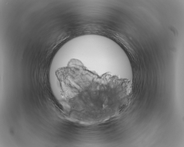 X0000111800363200908061203