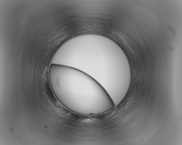 X0000111800364200908061203