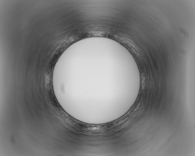 X0000111800365200908061203