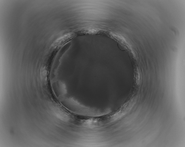 X0000111800366200908061203