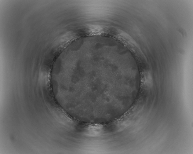 X0000111800369200908061203