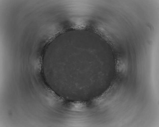 X0000111800370200908061203