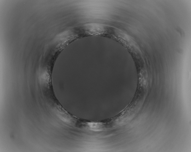 X0000111800371200908061203