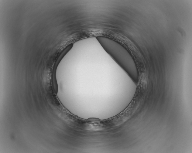X0000111800372200908061203