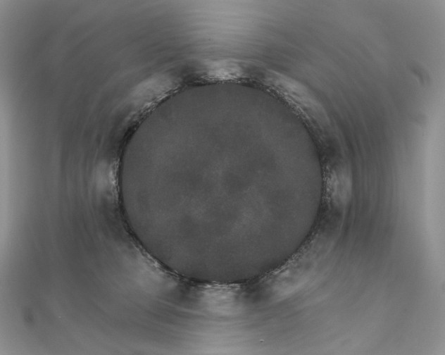 X0000111800373200908061204