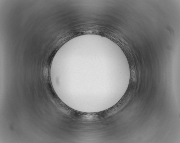 X0000111800375200908061204