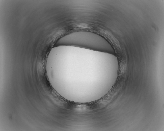 X0000111800376200908061204