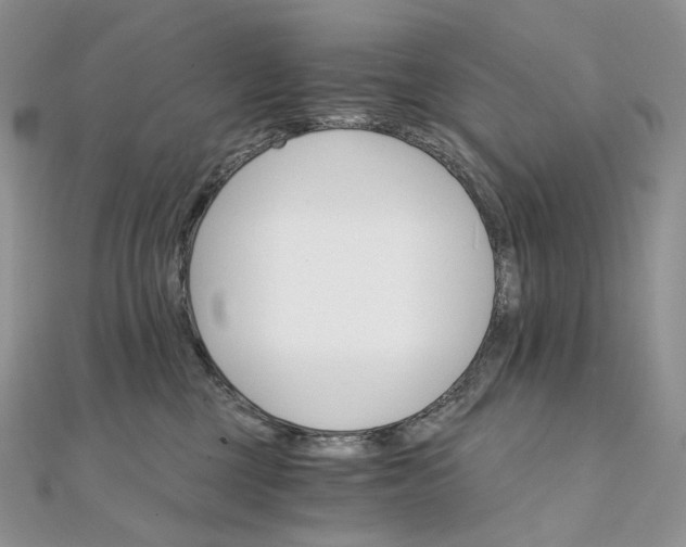 X0000111800377200908061204