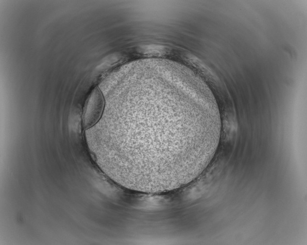 X0000111800379200908061204