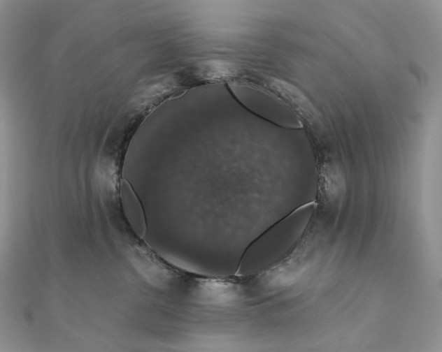 X0000111800380200908061204