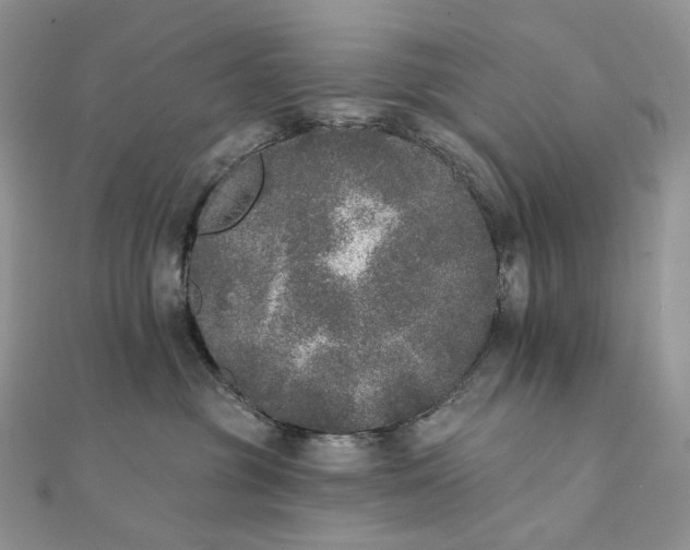X0000111800381200908061204