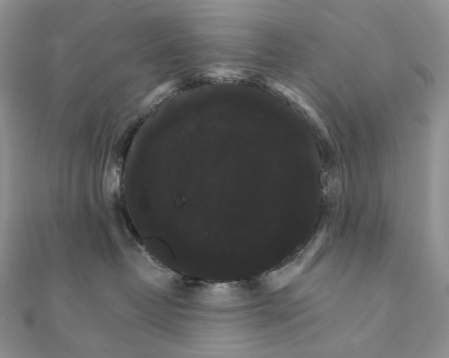 X0000111800382200908061204