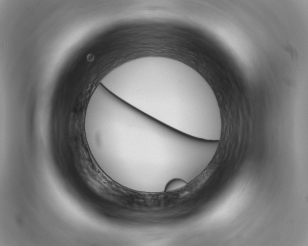 X0000111800383200908061204