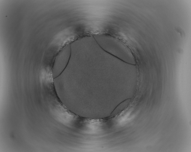 X0000111800384200908061204