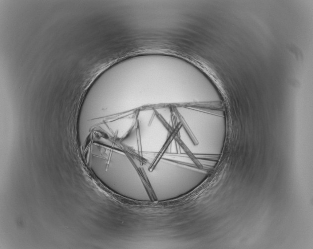 X0000111800385200908061203
