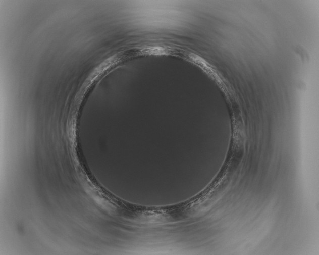 X0000111800386200908061203