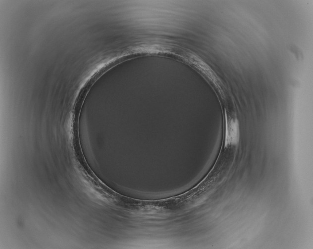 X0000111800387200908061203
