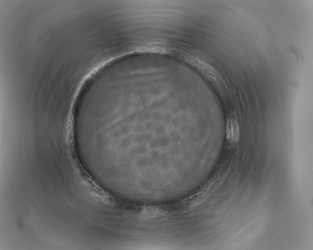 X0000111800388200908061203