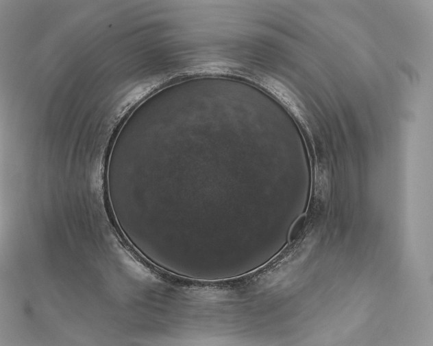 X0000111800389200908061203