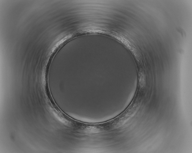 X0000111800390200908061203
