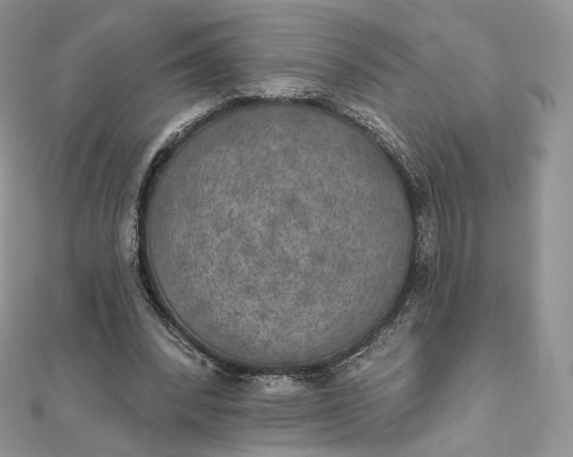 X0000111800392200908061203