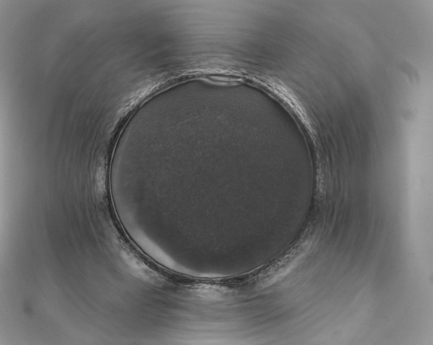 X0000111800393200908061203