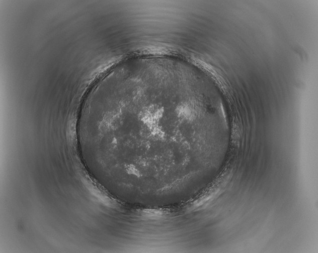 X0000111800394200908061203