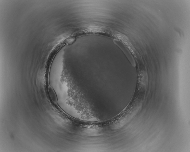 X0000111800395200908061203