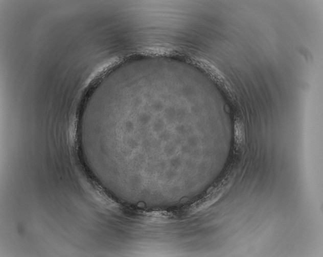 X0000111800396200908061203