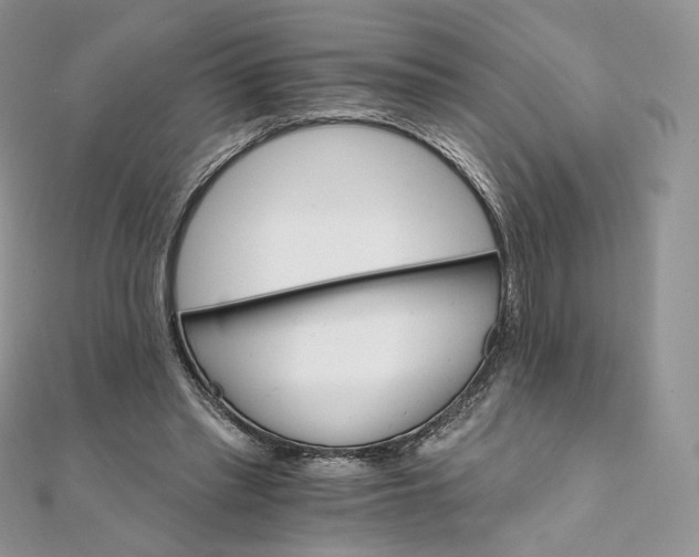 X0000111800397200908061203