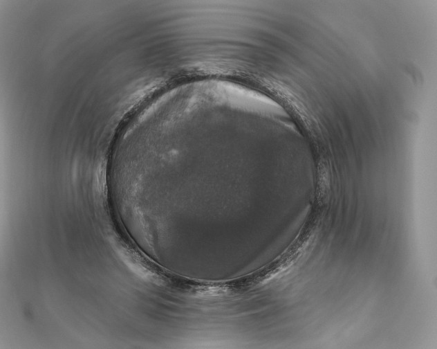 X0000111800398200908061203