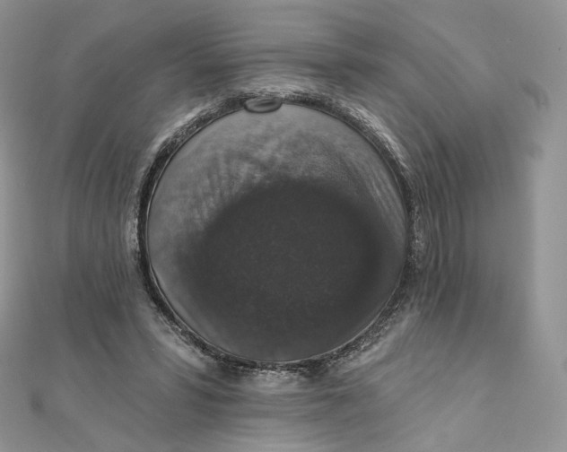 X0000111800399200908061203