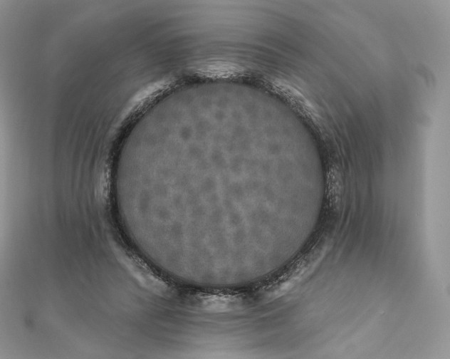 X0000111800400200908061203