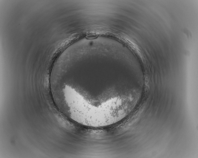 X0000111800401200908061203