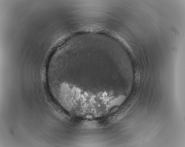 X0000111800403200908061203
