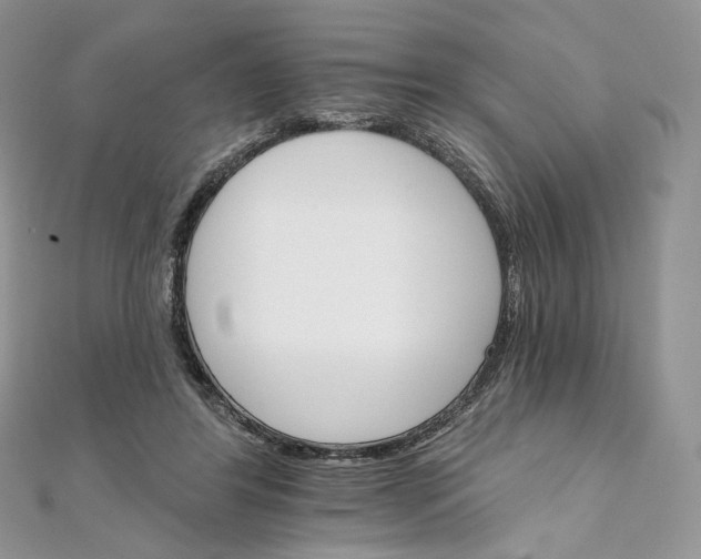 X0000111800404200908061203