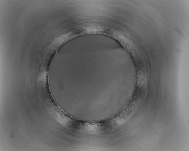 X0000111800405200908061203